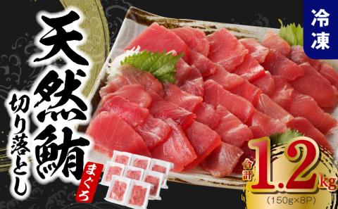 【家計応援】天然まぐろ 切り落とし 合計 1.2kg 小分け 150g×8P【訳あり サイズ不揃い 刺身 海鮮丼 鮪 まぐろ マグロ ユッケ 海鮮 ネギトロ 小分け ファミリー向け】 015B569