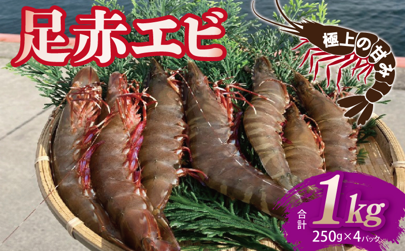 足赤エビ 1kg【国産 えび 天然 ぷりぷり 海鮮 水揚げ 生食可】 030D229
