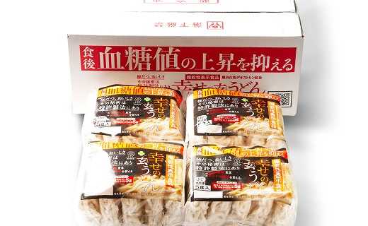 機能性 玄うどん【5食入り×4P】 099H016