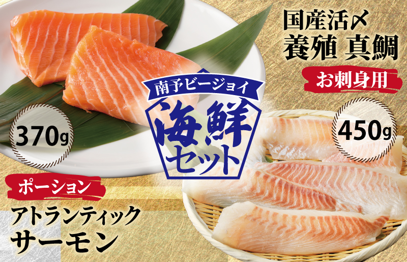 【南予ビージョイ】サーモン＆国産活〆 真鯛  お刺身セット【小分け 訳あり サイズ不揃い 刺身 海鮮丼 人気 オススメ 冷凍】 nbj0004