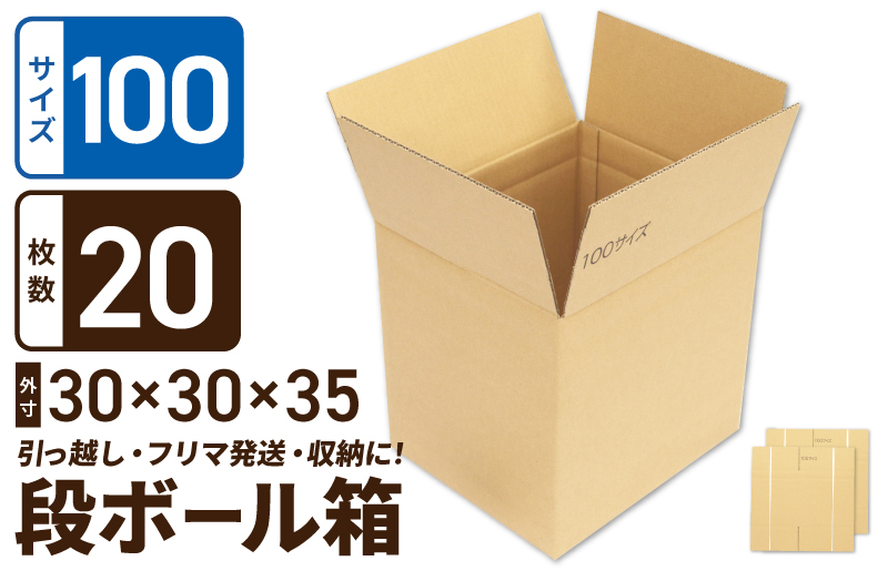 定番段ボール箱 宅配100サイズ×20枚セット【荷物 発送 引っ越し 収納 整理 フリマサイト 通販 配送 梱包】 099H2543