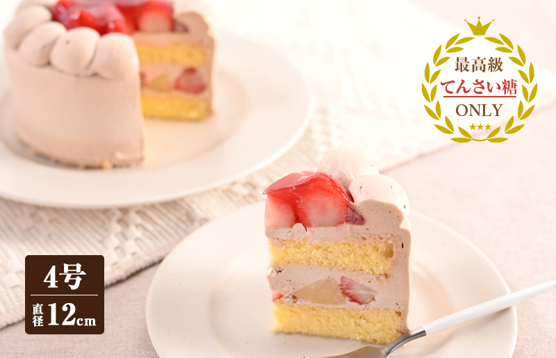 生チョコデコレーション （冷凍ケーキ） 12cm×1台【洋菓子 スイーツ おやつ てんさい糖 冷凍ケーキ】 099H2837