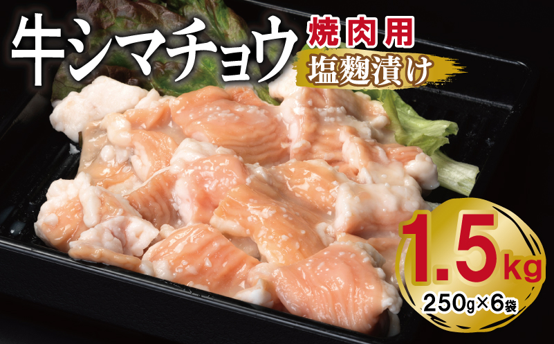 牛シマチョウ 焼肉用 塩麹漬け 合計1.5kg【味付け 小分け 焼くだけ 簡単調理 BBQ 牛肉 ホルモン 250g×6袋】 G3383