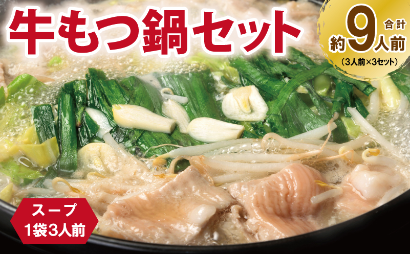 牛もつ鍋セット スープ付 合計約9人前【味付け 小分け 牛肉 ホルモン 醤油ベーススープ 簡単調理 3人前×3セット 普段使い】 G3385