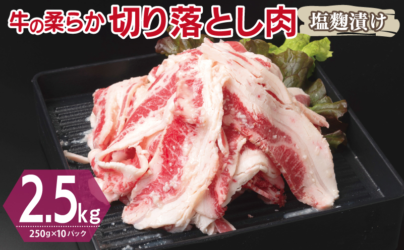牛肉 切り落とし 塩麹漬け 合計2.5kg【味付け 小分け 焼くだけ 簡単調理 BBQ 牛肉 250g×10袋 普段使い】 099H3387