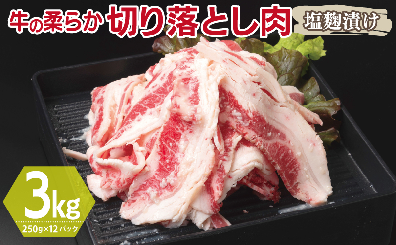 牛肉 切り落とし 塩麹漬け 合計3kg【味付け 小分け 焼くだけ 簡単調理 BBQ 牛肉 250g×12袋 普段使い】 099H3388