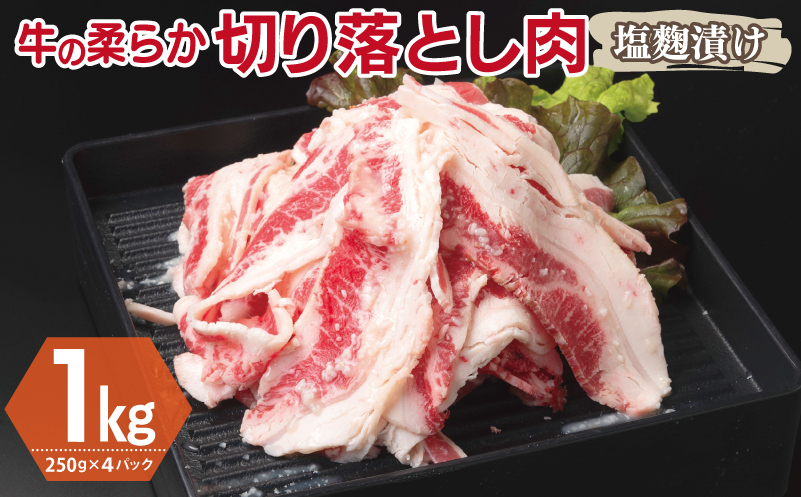 牛肉 切り落とし 塩麹漬け 合計1kg【味付け 小分け 焼くだけ 簡単調理 BBQ 牛肉 250g×4袋 普段使い】 099H3389