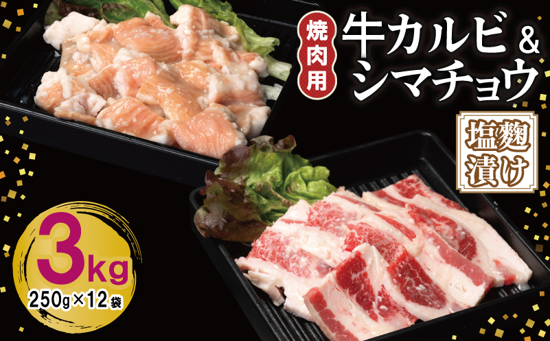 牛カルビ＆シマチョウ 塩麹漬け 焼肉セット 合計3kg【味付け 小分け 焼くだけ 簡単調理 BBQ 250g×12袋 牛肉 ホルモン 普段使い】 099H3397