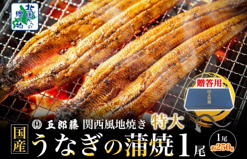 【贈答用】五郎藤 関西風地焼き 国産有頭旨鰻 250g×1尾 計約250g 特大 うなぎ ウナギ 蒲焼き 炭火 099H3443-1