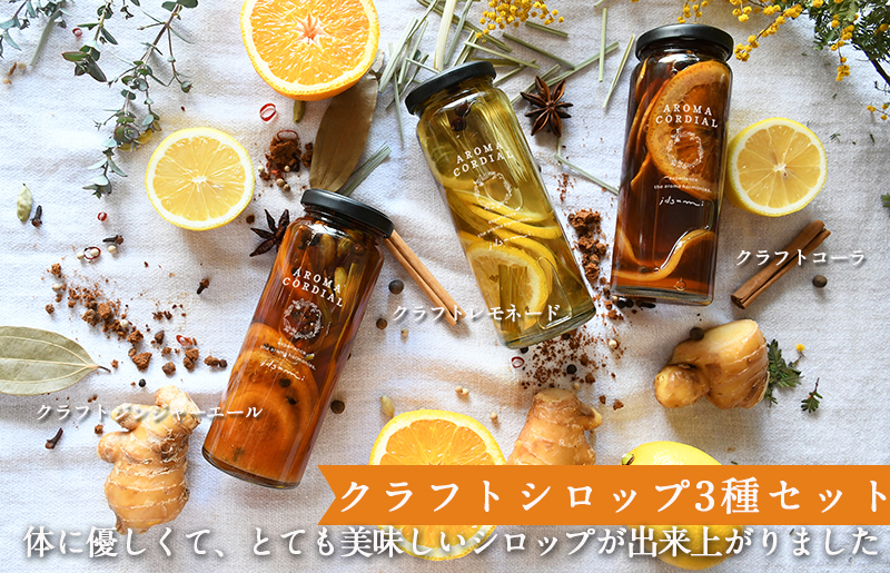 【スピード発送】クラフト飲料シロップ(コーラ、ジンジャーエール、レモネード）3本セット いずみピクルス NSW 099H3665