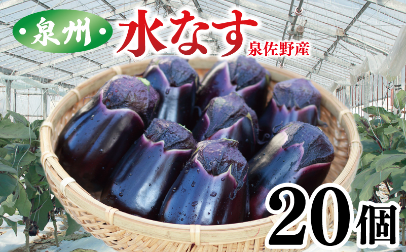 泉州 泉佐野市産 ハウス水なす 20個 夏旬の水なすを冬にどうぞ｜ 099H4104