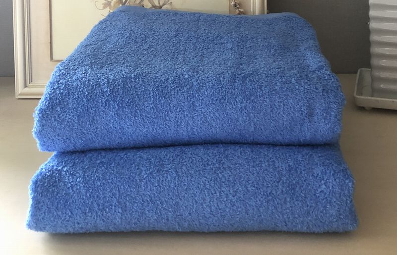 超大判バスタオル２枚セット（ブライトブルー）泉州タオル 90×170cm【泉州タオル 国産 吸水 普段使い 無地 シンプル 日用品 家族 ファミリー】 020C478