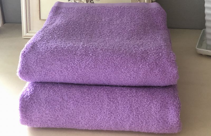 超大判バスタオル２枚セット（ロイヤルパープル）泉州タオル 90×170cm【泉州タオル 国産 吸水 普段使い 無地 シンプル 日用品 家族 ファミリー】 020C479