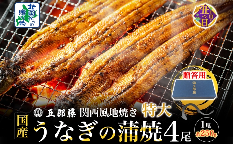【7/26土用の丑の日】＜贈答用＞国産有頭旨鰻 250g×4尾 特大サイズ【関西風地焼き 老舗 五郎藤 うなぎ 1kg 小分け unagi ひつまぶし 簡単調理】 099H4345d