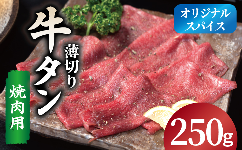 焼肉 牛タン 薄切り オリジナルスパイス  小分け お試し少量パック（250g×1P） 099H4377