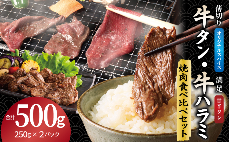 牛タン焼肉 オリジナルスパイス＆牛ハラミ甘辛 食べ比べ焼肉セット 合計500g（250g×2P） 099H4380