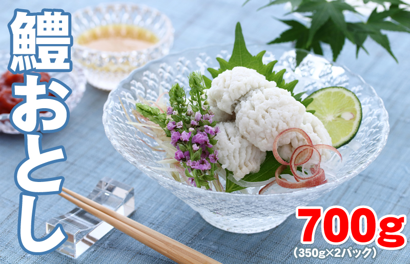 地物 手作り鱧おとし（湯引きはも）700g からし酢みそ・梅肉付 kgp0065