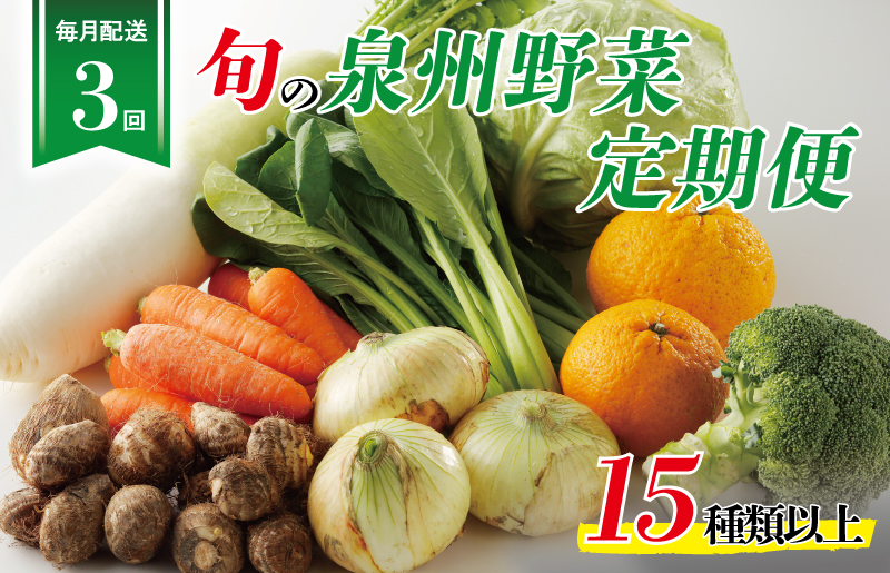 泉州野菜 定期便 15種類以上×全3回【毎月配送 国産 野菜 やさい 詰め合わせ セット 新鮮 旬 ええもん ていきびん】 099Z114