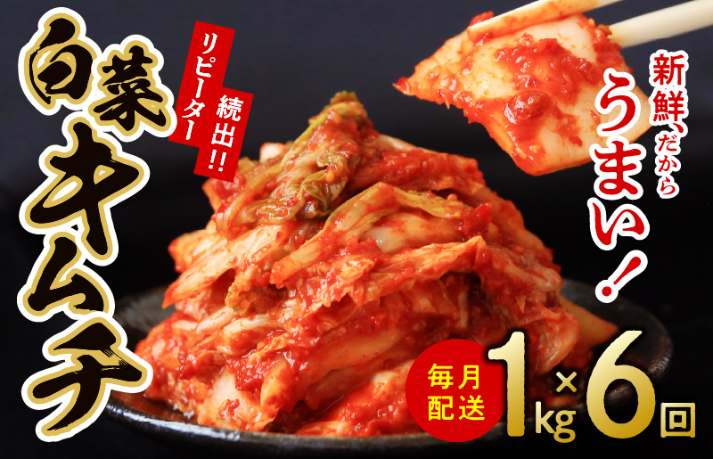 定期便 白菜キムチ 1kg × 6回 大好評 韓国【毎月配送コース 高評価 人気 惣菜 きむち 漬物 韓国グルメ おつまみ 家計応援 お楽しみ 福袋】 099Z247