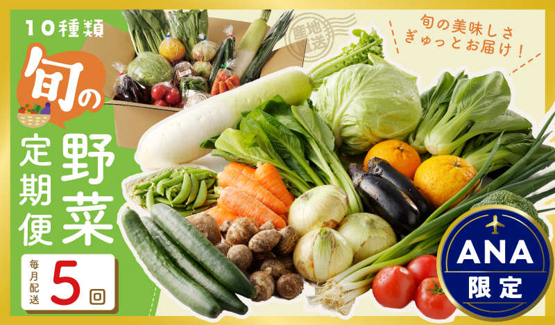 【ANA限定】 10種類の新鮮野菜 定期便 全5回 詰め合わせ 国産【毎月配送コース】 099Z313