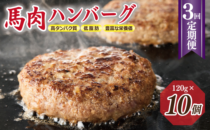 【定期便】 桜文 馬肉ハンバーグ 120ｇ×10個 全3回 【毎月配送コース】 099Z316