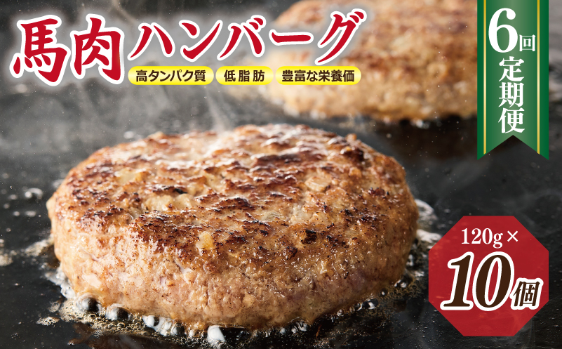 【定期便】 桜文 馬肉ハンバーグ 120ｇ×10個 全6回 【毎月配送コース】 099Z318