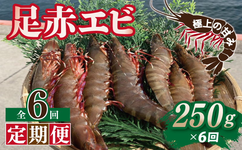 【定期便】足赤エビ 250g×全6回 計1.5kg【国産 えび 天然 ぷりぷり 海鮮 水揚げ 生食可】 099Z387