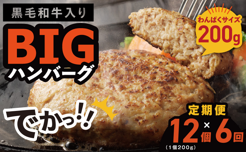 【定期便】黒毛和牛入り BIGハンバーグ（200g×12個）全6回 【毎月配送コース】 099Z413