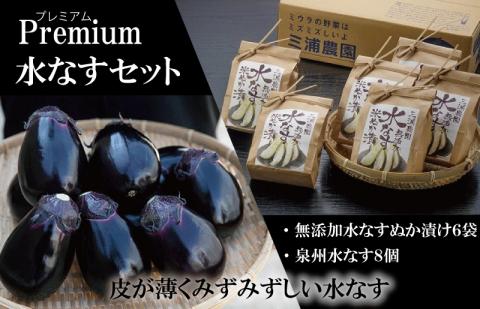 Premium水なすセット【新鮮 野菜 泉佐野産 茄子 やさい 高評価 数量限定】 020C066