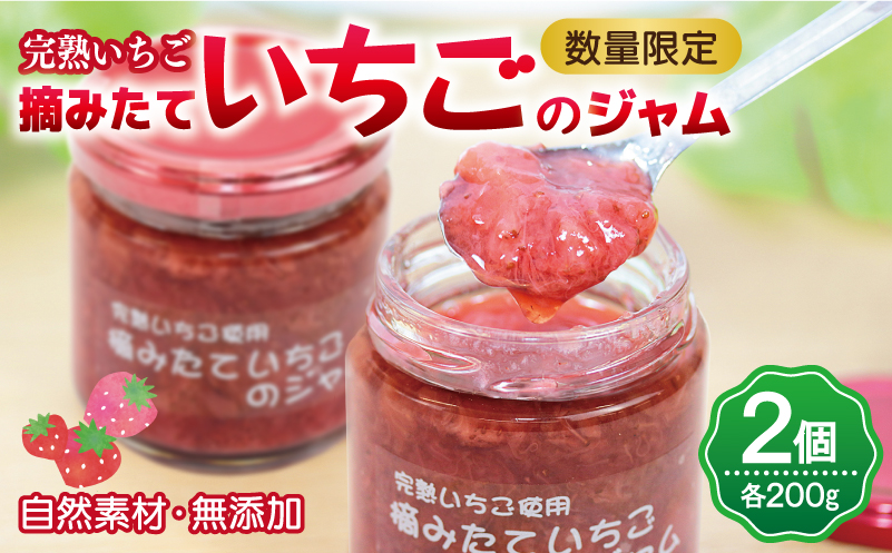 【先行予約】完熟朝摘みいちごのジャム【苺 無添加 自然素材 フルーツ イチゴ 高評価 数量限定】 005A433