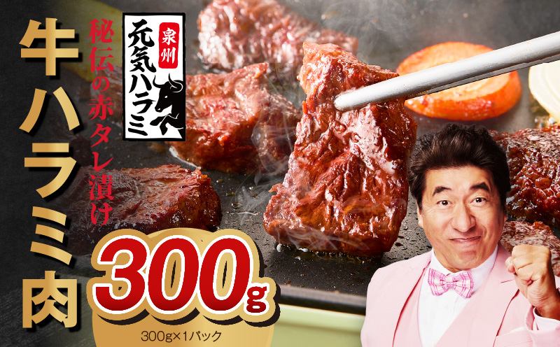 【お試し】牛ハラミ 300g【お試し 秘伝の赤タレ漬け 牛肉 焼肉用 焼くだけ はらみ 小分け BBQ やきにく 肉厚 高評価 訳あり サイズ不揃い】 010B1883