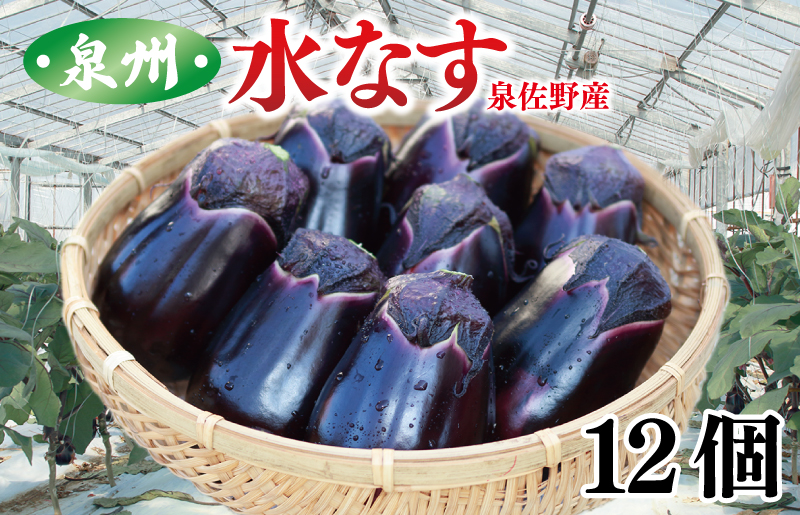 泉州 水なす 12個【ハウス栽培 新鮮 野菜 泉佐野産 茄子 数量限定】 010B1061