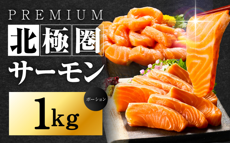 北極圏サーモン ポーション 1kg【高級 小分け 海鮮丼 人気 オススメ 小分け 冷凍 簡単調理 一人暮らし】 015B288