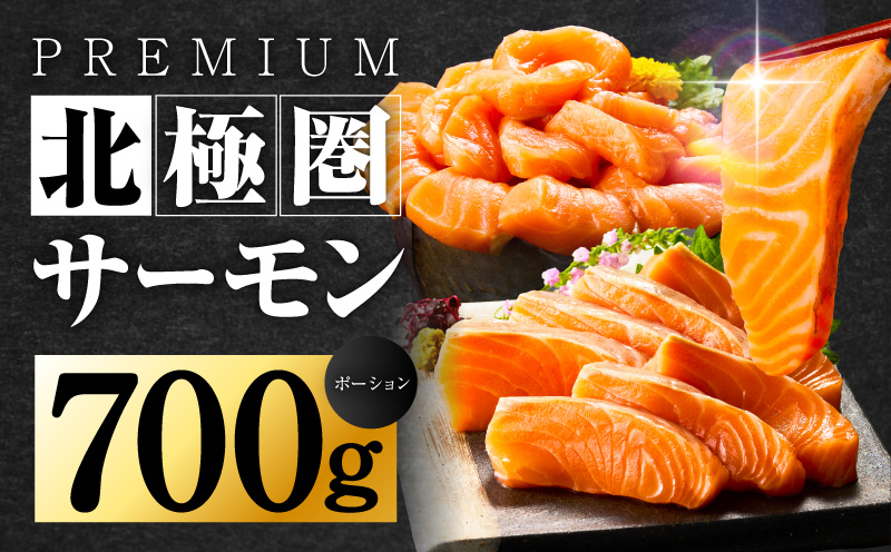 北極圏サーモン ポーション 700g【小分け 350g×2P 海鮮丼 人気 オススメ 小分け 冷凍 簡単調理 一人暮らし 東洋冷蔵】 010B1329