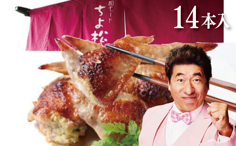 【年内発送】手羽先餃子14本 日本料理屋のお惣菜 さのうまみ鶏 010B1492