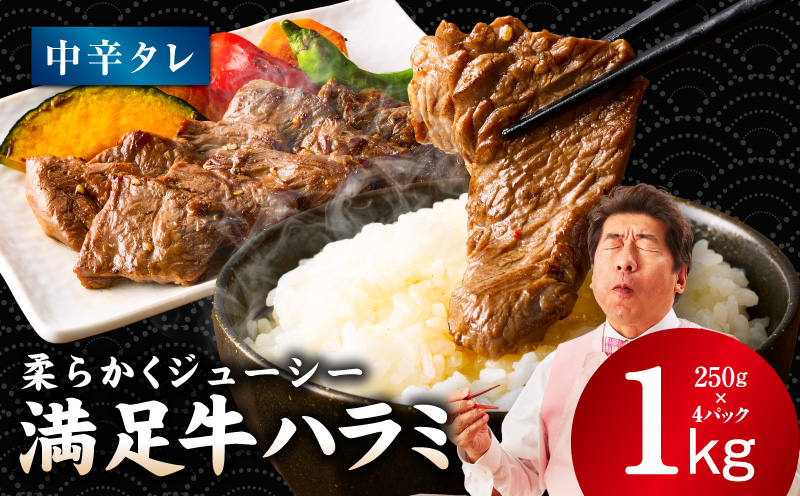 【満足牛ハラミ】中辛タレ漬け 合計1kg 【味付け ハラミ 小分け 焼くだけ 簡単調理 BBQ 牛肉 250g×4P】 G3357