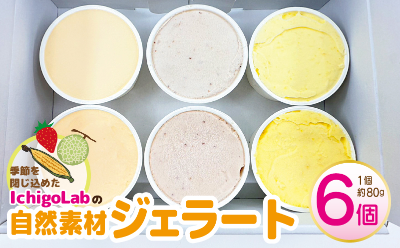 自然素材 ジェラート 6個 食べ比べ【アイス スイーツ 季節のじぇらーと いちご メロン トウモロコシ IchigoLab】 010B1779