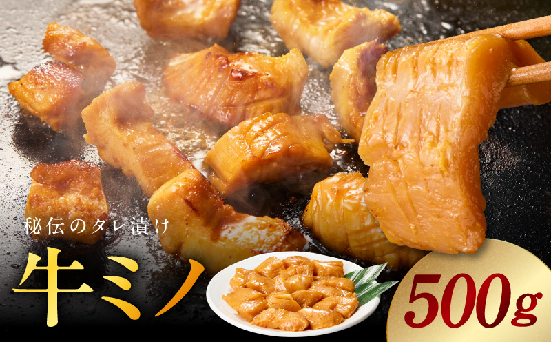 焼肉用 牛ミノ 500g 【味付き 秘伝のタレ漬け 250g×2P 小分け 焼くだけ ホルモン コリコリ食感 BBQ おかず おつまみ】 010B1854