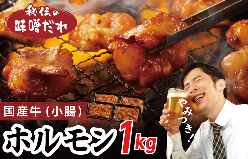 国産 牛肉 ホルモン 1kg 味噌だれ漬け 焼肉用 小分け 250g×4P【牛肉 焼肉用 焼くだけ 小分け BBQ やきにく 数量限定】 099H3870