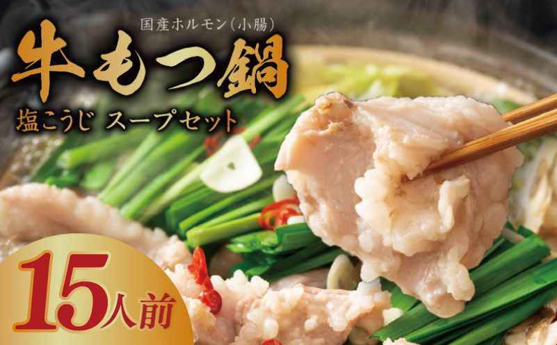 牛もつ鍋セット 15人前【国産 牛肉 ホルモン 塩こうじ スープ付き モツ 鍋 高評価 冷凍 鍋セット 簡単調理】 015B570