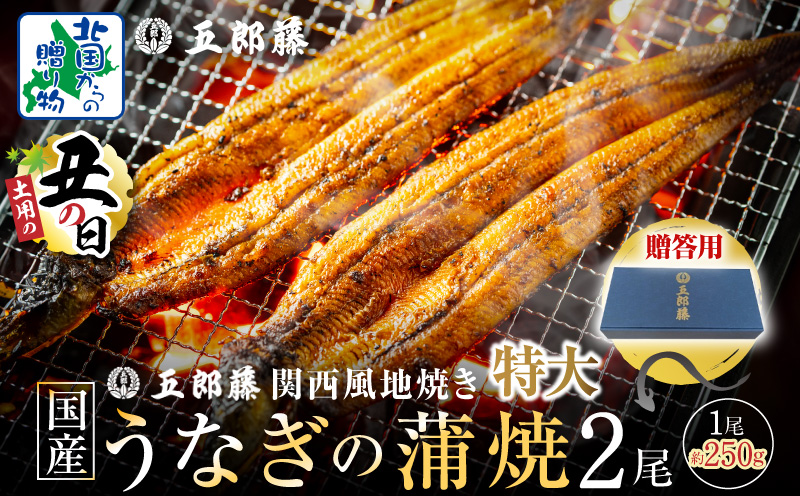 【7/26土用の丑の日】五郎藤 関西風地焼き 国産有頭旨鰻 250g×2尾 計約500g 【贈答用 特大 うなぎ ウナギ 蒲焼き 炭火】 015B385-1d