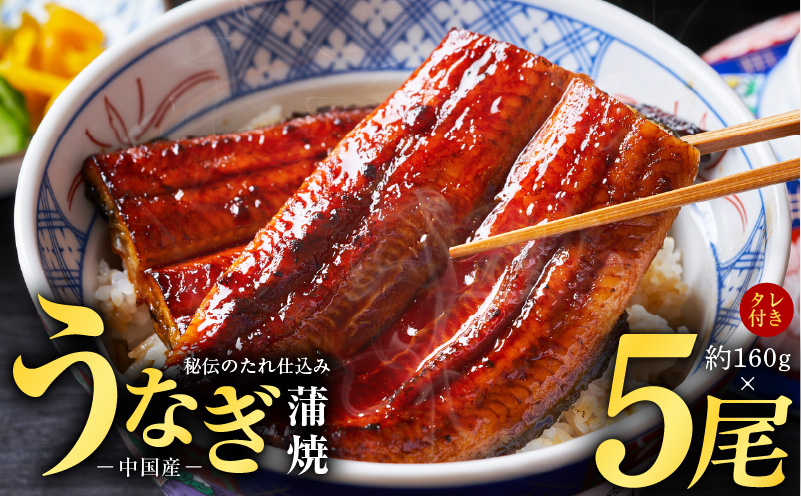 秘伝のたれ仕込み うなぎ蒲焼 合計800g（約160ｇ×5尾）鰻 ウナギ 中国産 温めるだけ 簡単 レンジ調理 ふっくらふわふわ 炭火焼き 備長炭 手焼き kgp0020