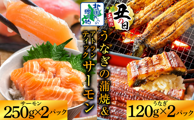 【7/26土用の丑の日】五郎藤 国産 関西風 地焼き有頭旨鰻 120g×2尾＆アトランティックサーモン 250g×2パック【食べ比べ】 020C503d