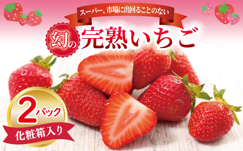 【先行予約】朝摘み 完熟いちご 2パック【化粧箱入り 苺 無添加 自然素材 フルーツ イチゴ 高評価 数量限定】 099H1970