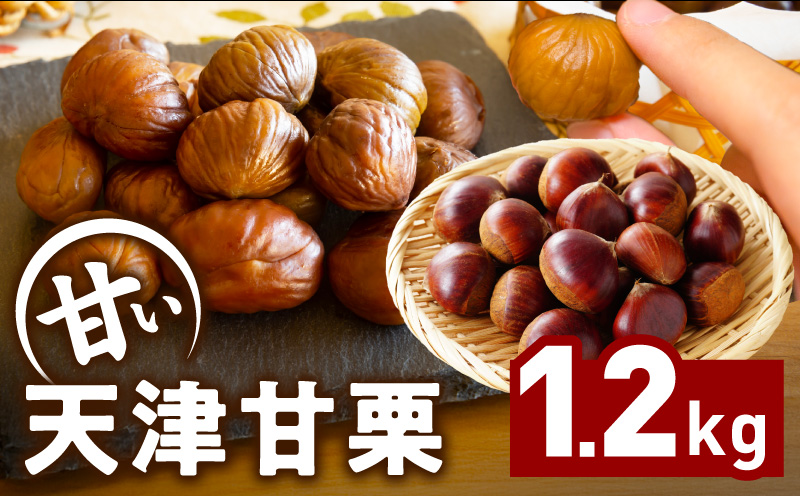 当店自慢の天津甘栗 1.2kg【小分け 400g×3P お菓子 おつまみ 人気 甘味料不使用】 099H2329