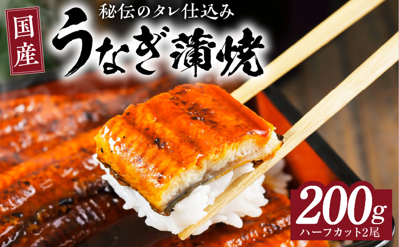 国産うなぎ ハーフカット 合計 200g 秘伝のたれ 蒲焼 訳あり 鰻 ウナギ 無頭 炭火焼き 備長炭 手焼き kgp0037