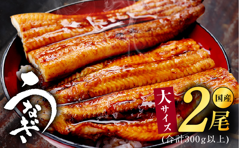 大サイズ 国産うなぎ 2尾 合計300g以上 kgp0038