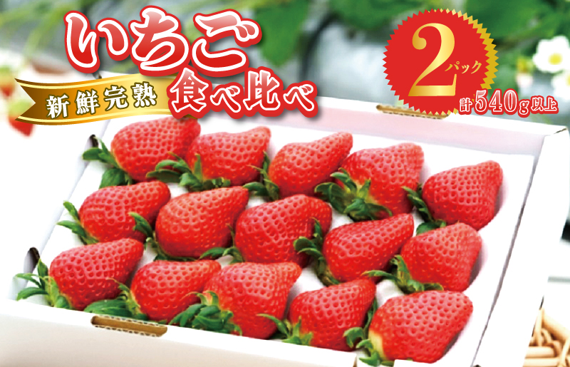 完熟新鮮 いちご 食べ比べ 2パック 合計540g以上 099H2854