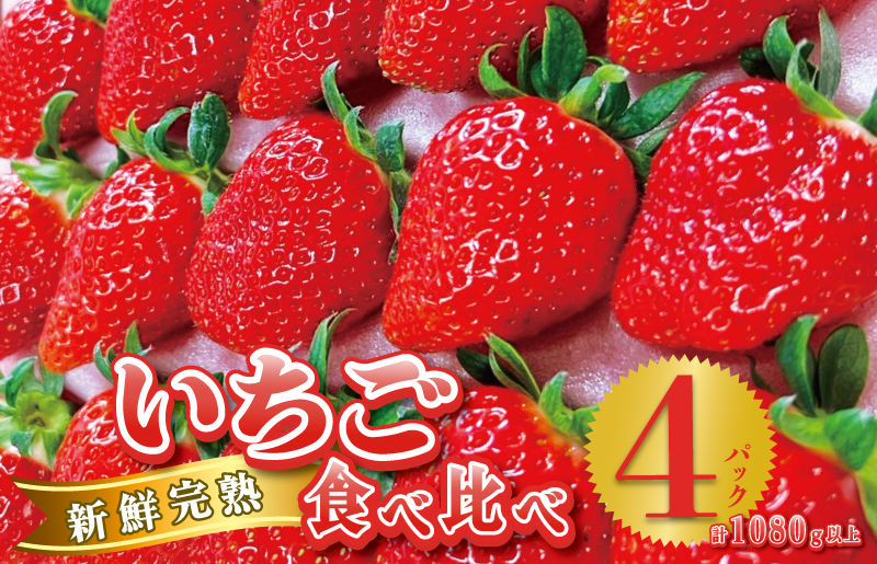 完熟新鮮 いちご食べ比べ 4パック 合計1080g以上 099H2855