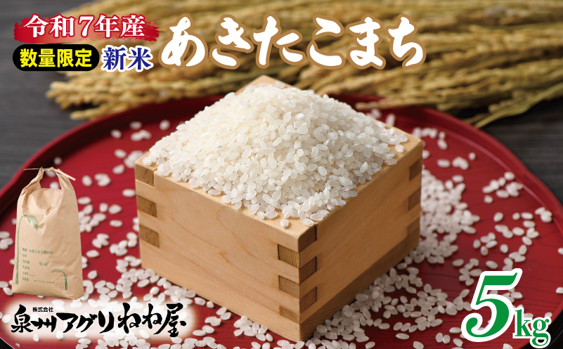 【数量限定】令和7年産 ねね屋の新米 『あきたこまち』 5kg 白米 お米 099H3929